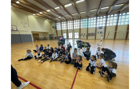 HISTOIRE DE VOLLEY N°5