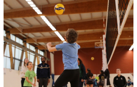 JEUX DE VOLLEY N°5
