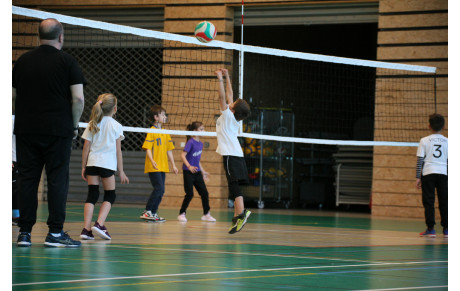 JEUX DE VOLLEY N°6
