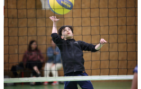 JEUX DE VOLLEY N°7